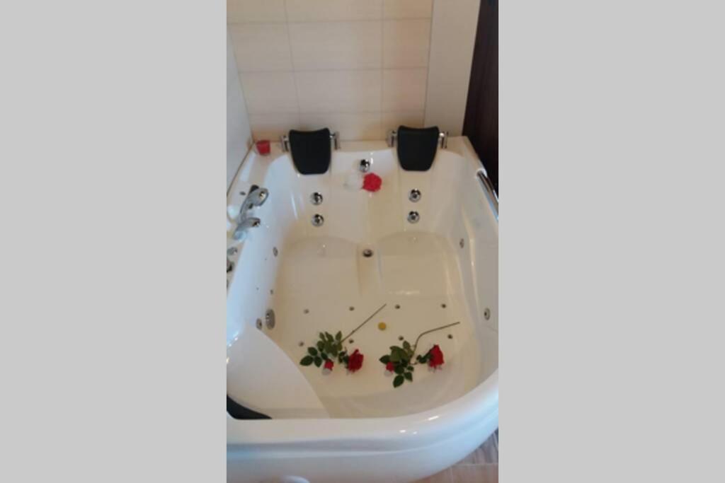 Curiel de DueroLagar I Con Jacuzzi别墅 外观 照片